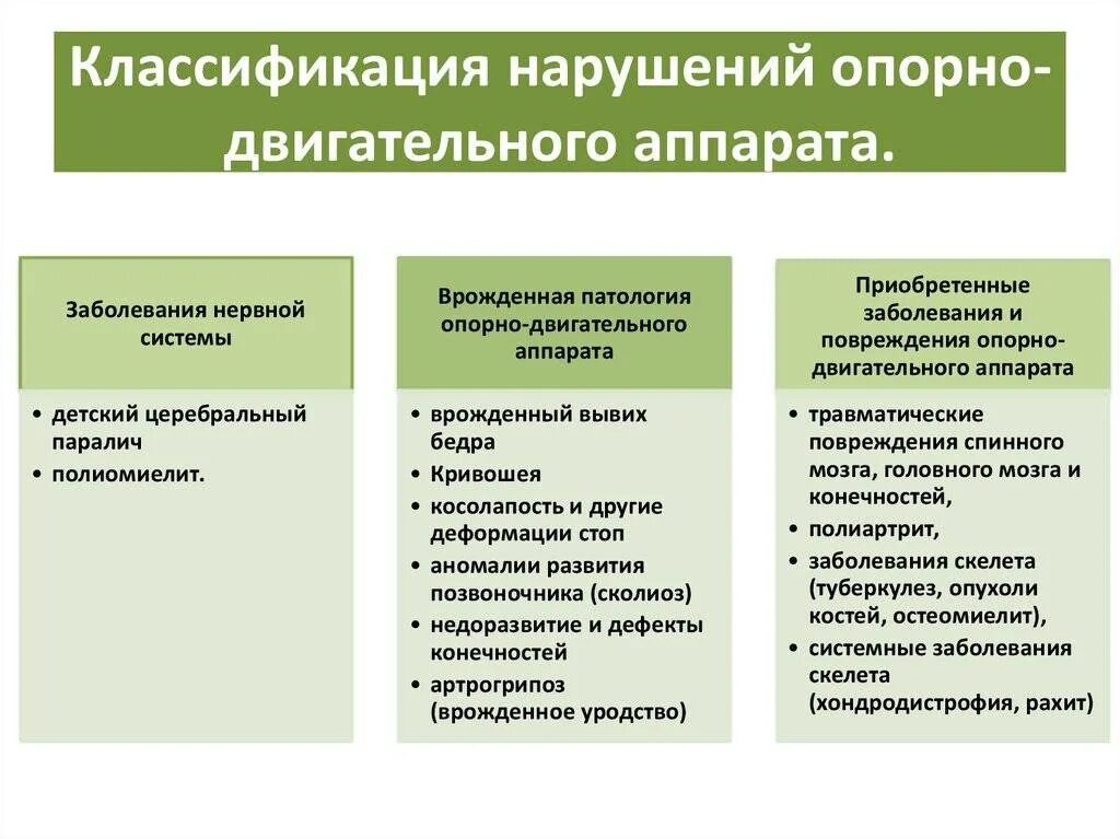 Привести к нарушению функционирования. Классификация нарушений опорно-двигательного аппарата у детей. Типы нарушения опорно-двигательного аппарата. Основные виды патологии опорно-двигательного аппарата у детей. Причины заболеваний опорно-двигательного аппарата.