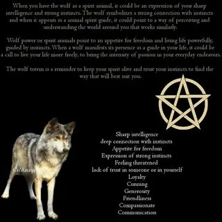Wolf totem перевод