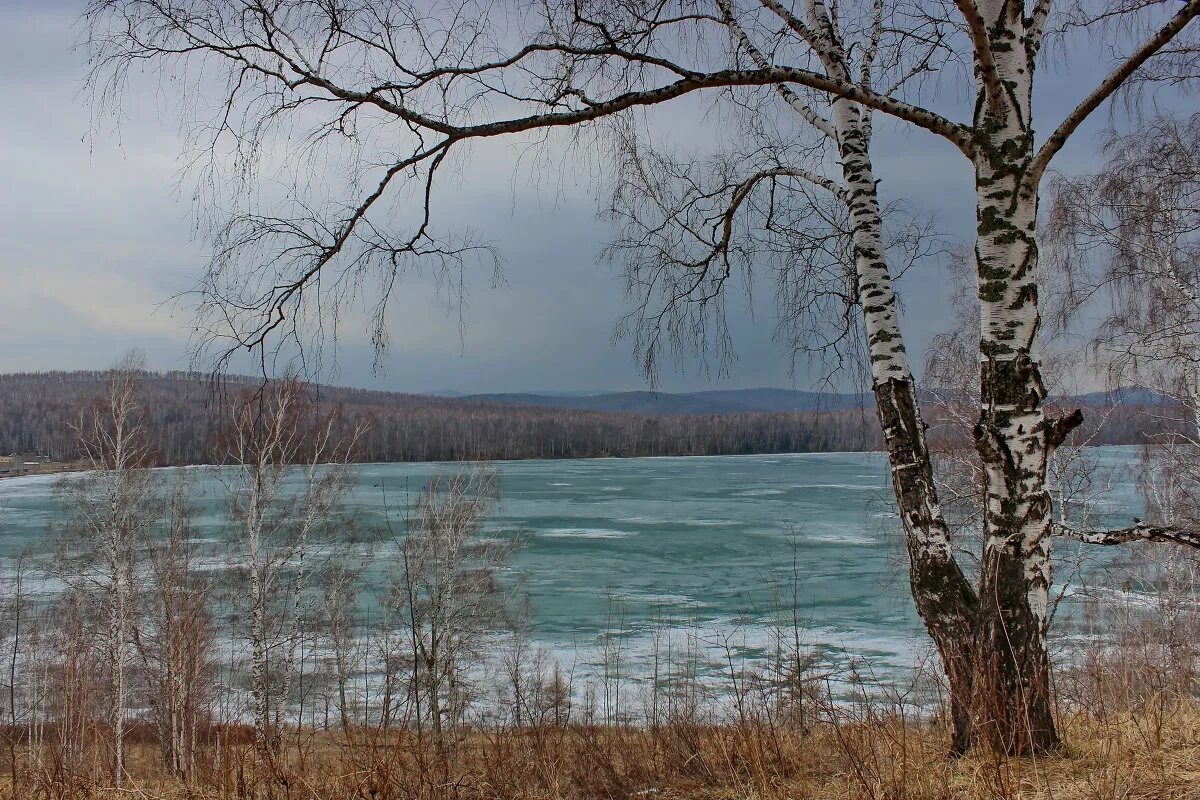 Весенняя печаль. Весенняя грусть.