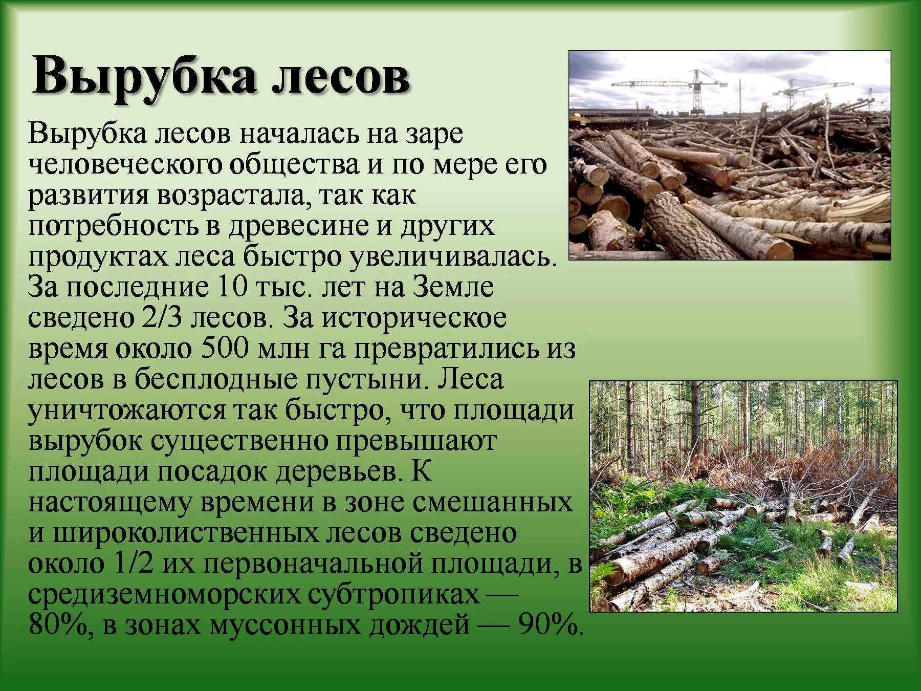 Охрана леса от вырубки. Вырубка лесов. Проект о вырубке лесов. Вырубка леса презентация. Проект на тему вырубка лесов.