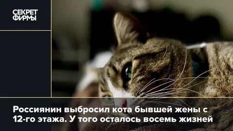Осталось 8 жизней