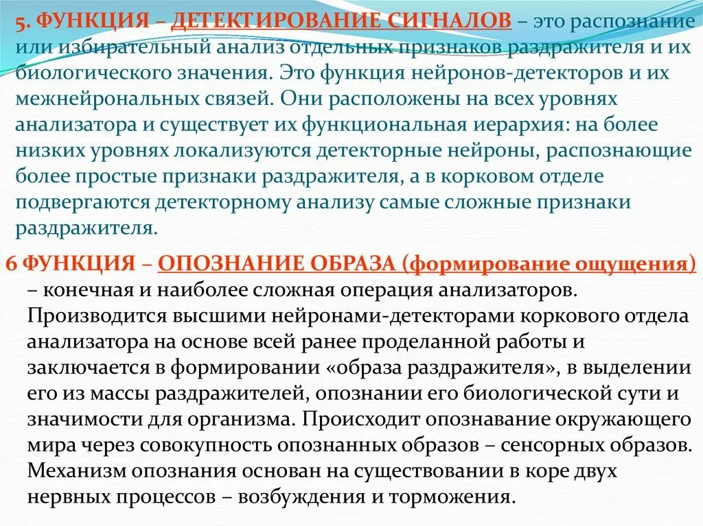 Опознание образов. Детектирование сигналов и опознание образов. Детектирование сигналов и опознание образов физиология. Детектирование анализаторов. Функции анализаторов физиология.