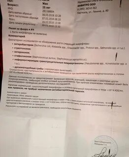 Сколько дней делается моча на антибиотики