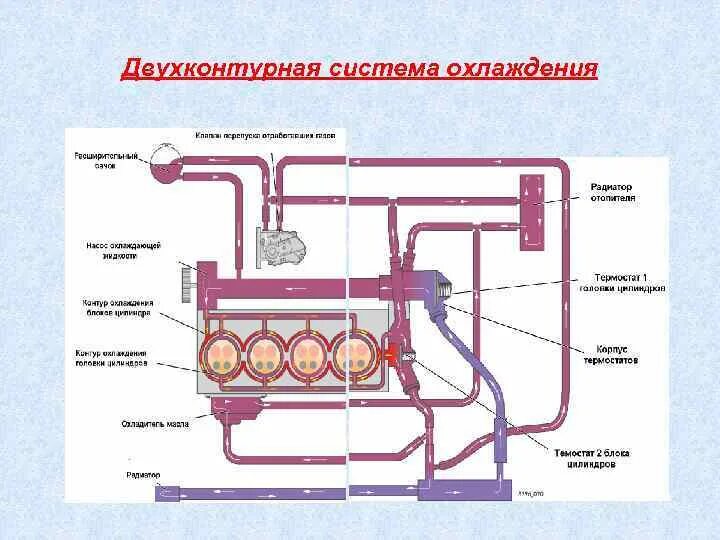 И установлен в систему охлаждения. Система охлаждения поло седан 1.6 схема. Схема циркуляции охлаждающей жидкости поло седан 1.6. Система охлаждения двигателя поло седан 1.6 схема. Система охлаждения ДВС схема.