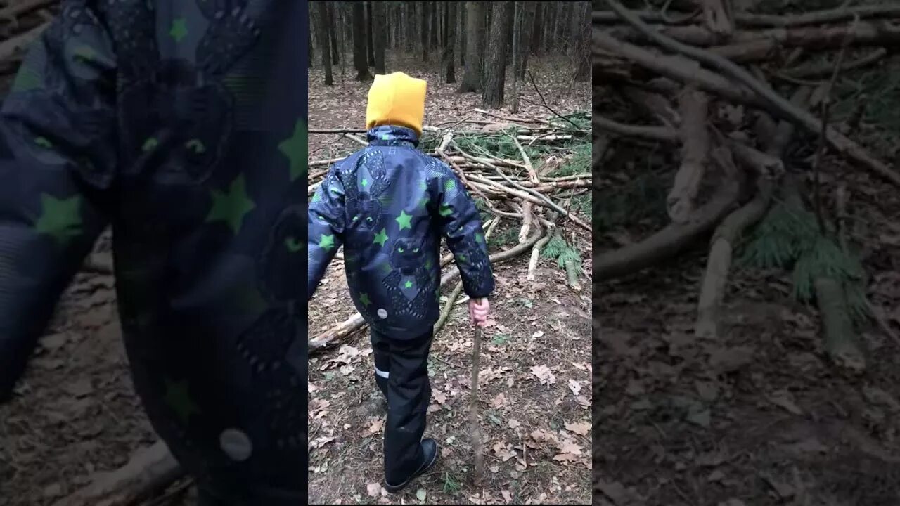 Следственный эксперимент видео. Следственный эксперимент видео
