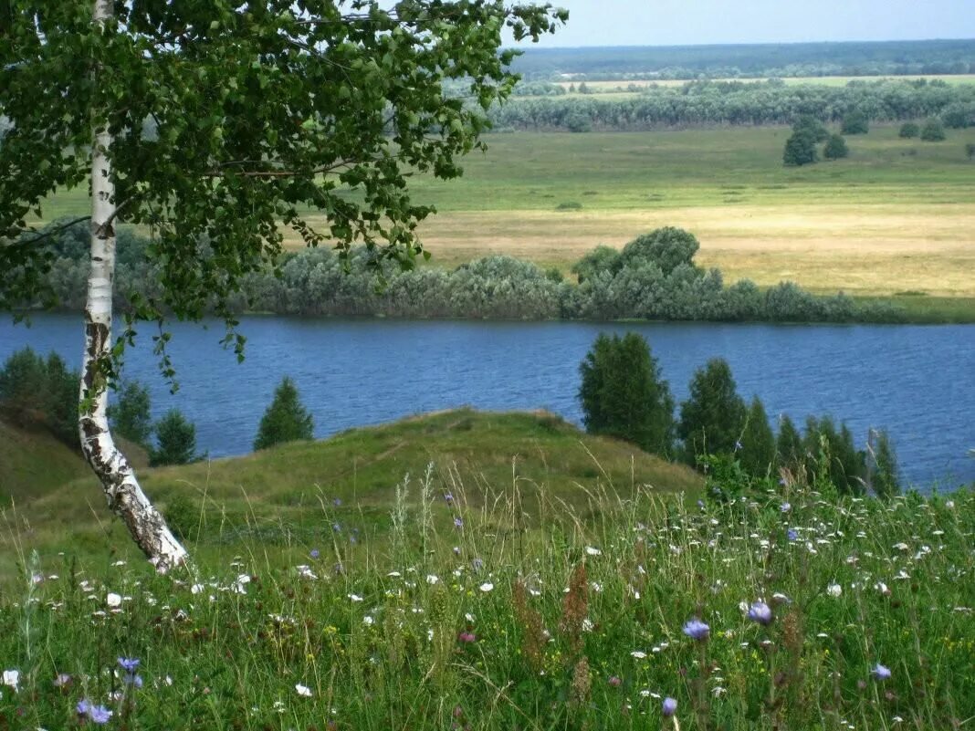 Родное коренное. Родина Есенина природа. Есенинская Русь Константиново. Село Константиново о малой родине с.а.Есенина..