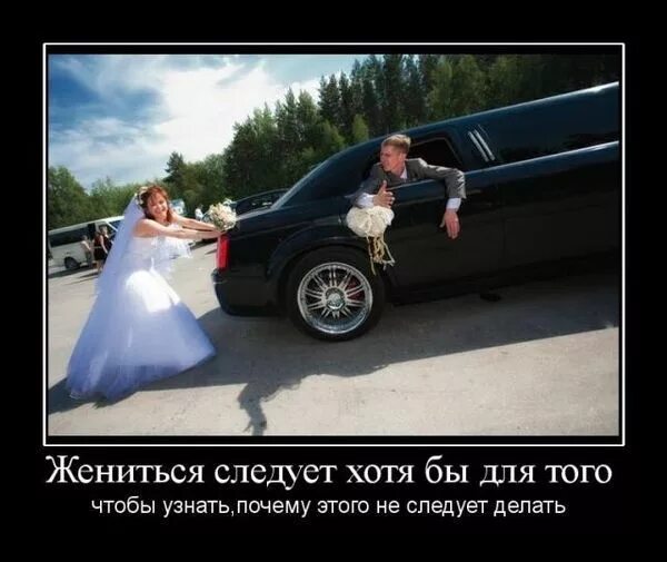 Демотиваторы про женитьбу. Почему мужчина не женится. Почему не стоит жениться. Почему не стоит жениться. Женатый мужчина.