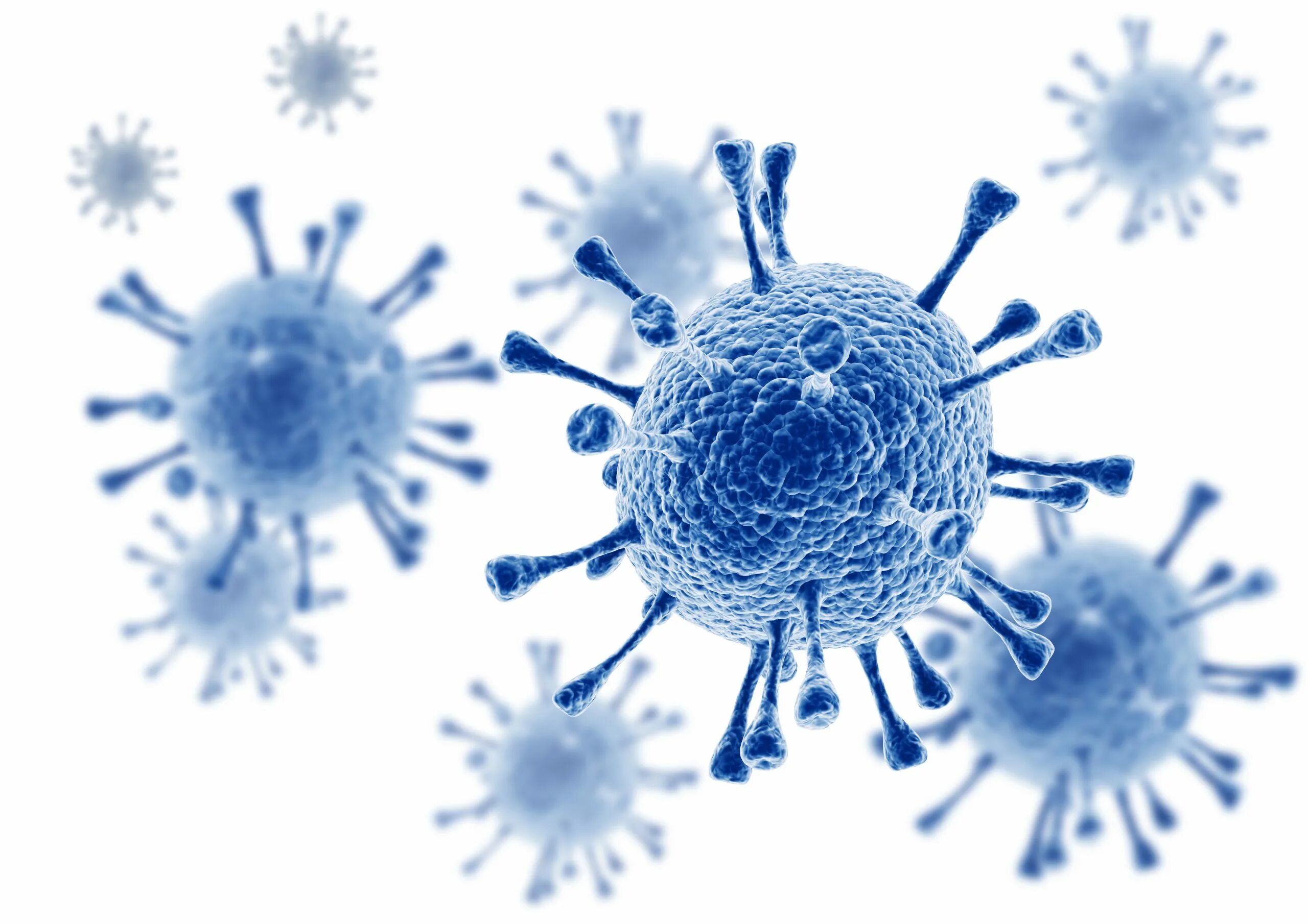 Коронавирус бактерия. Микробы ковид 19. Микроб гриппа. Вирус на белом фоне. Вирус на открытом воздухе