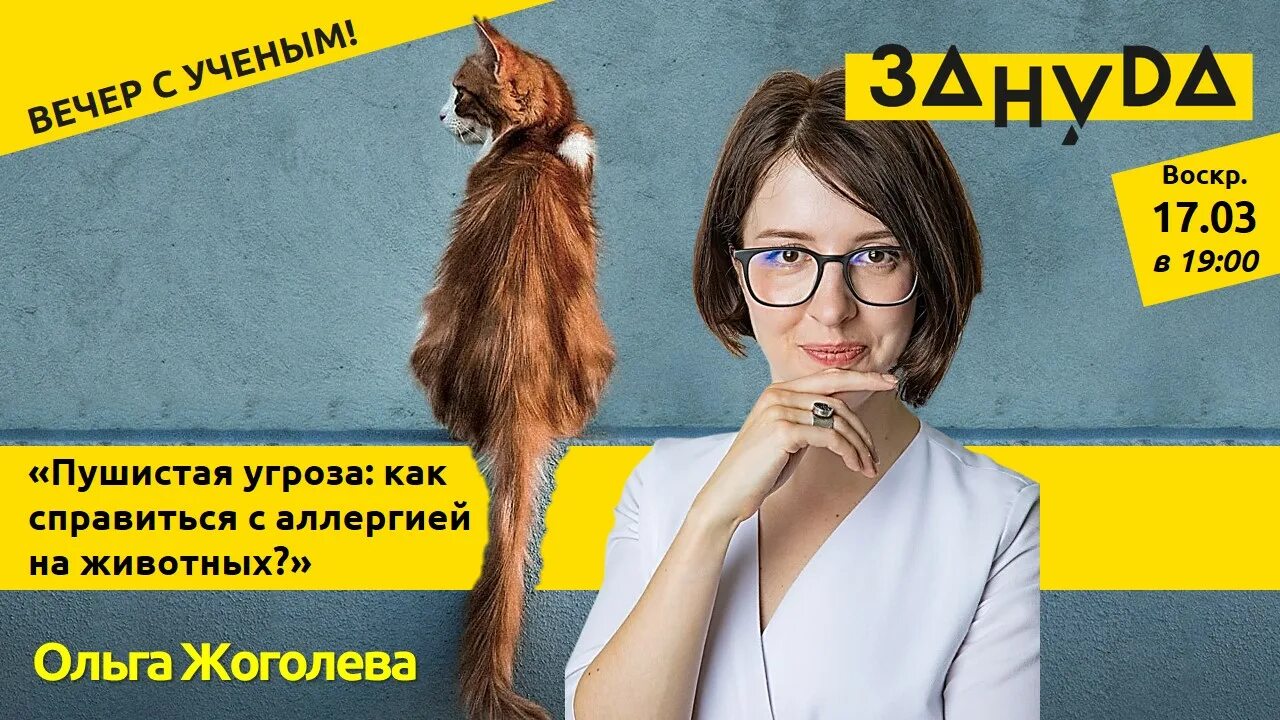 Коты на которых нет аллергии. Коты на которых нет аллергии