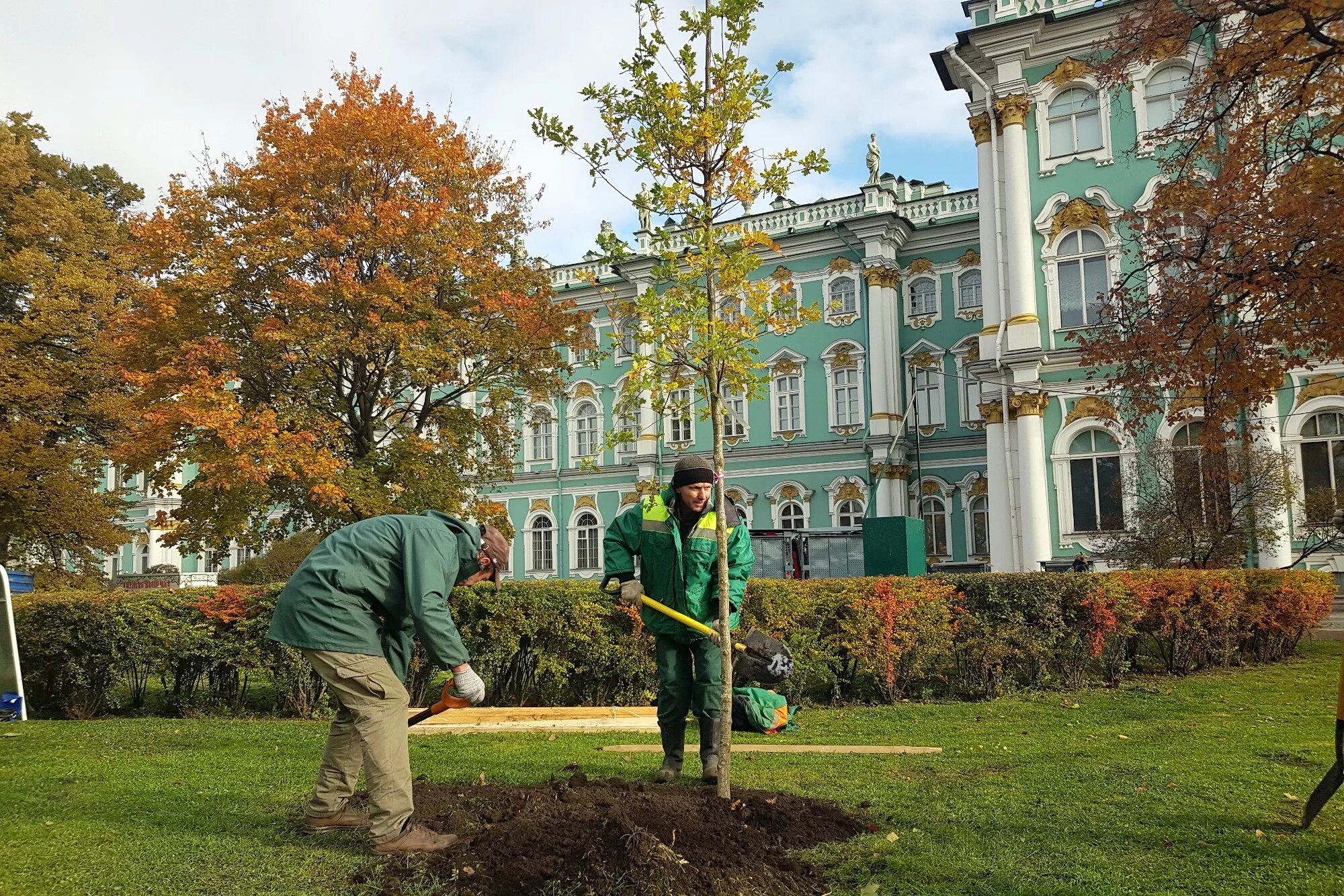 Какие деревья высаживают в парках. Михайловский сад Санкт-Петербург озеленители. Зеленые насаждения в городе. Зеленые насаждения Санкт-Петербурга. Благоустройство деревьев.