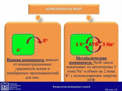 Компоненты зависимости