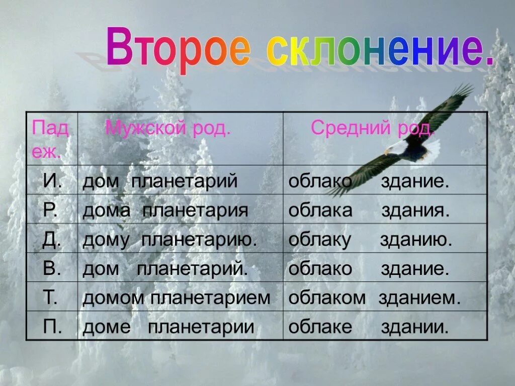 Второе склонение. 2 Склонение. Склонение имен существительных. Существительные 2 склонения.