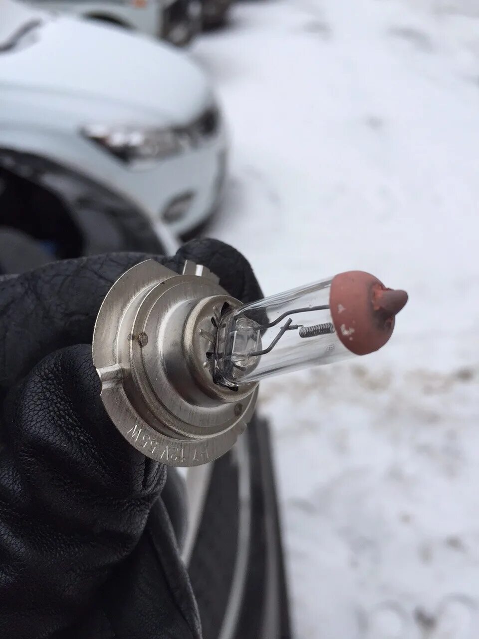 Лампа ближнего света киа соренто 2014. Лампочка подсветки номера киа соренто. Лампы соренто 2. Kia sorento 2014 лампа ближнего. Лампочка птф киа соренто 2014г.