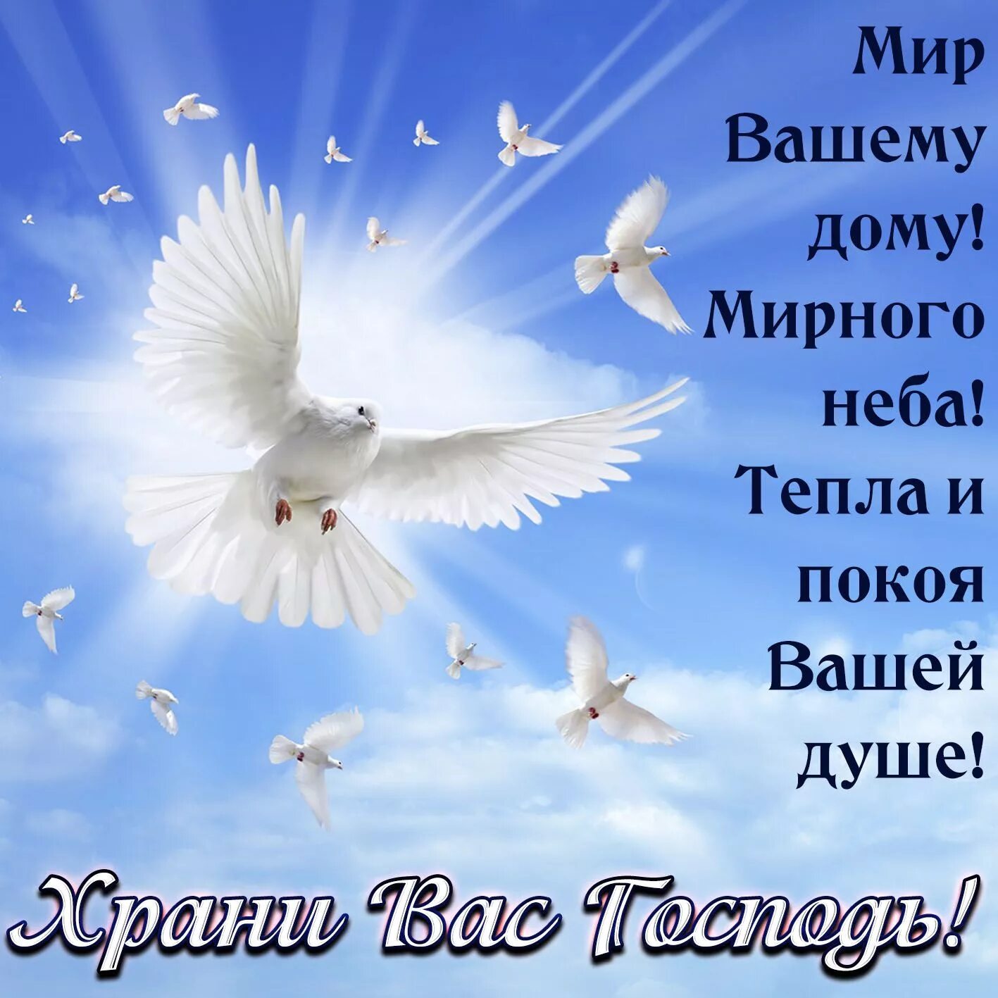 Голубое небо с голубями. Доброго дня и м рного неба. Голуби в небе. Открытки с пожеланиями.