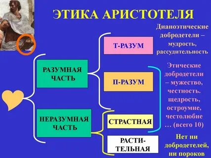 Принцип золотой середины аристотеля