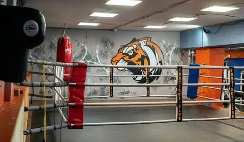 Топ бойцовских клубов