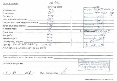 Стафилококк у женщин причины