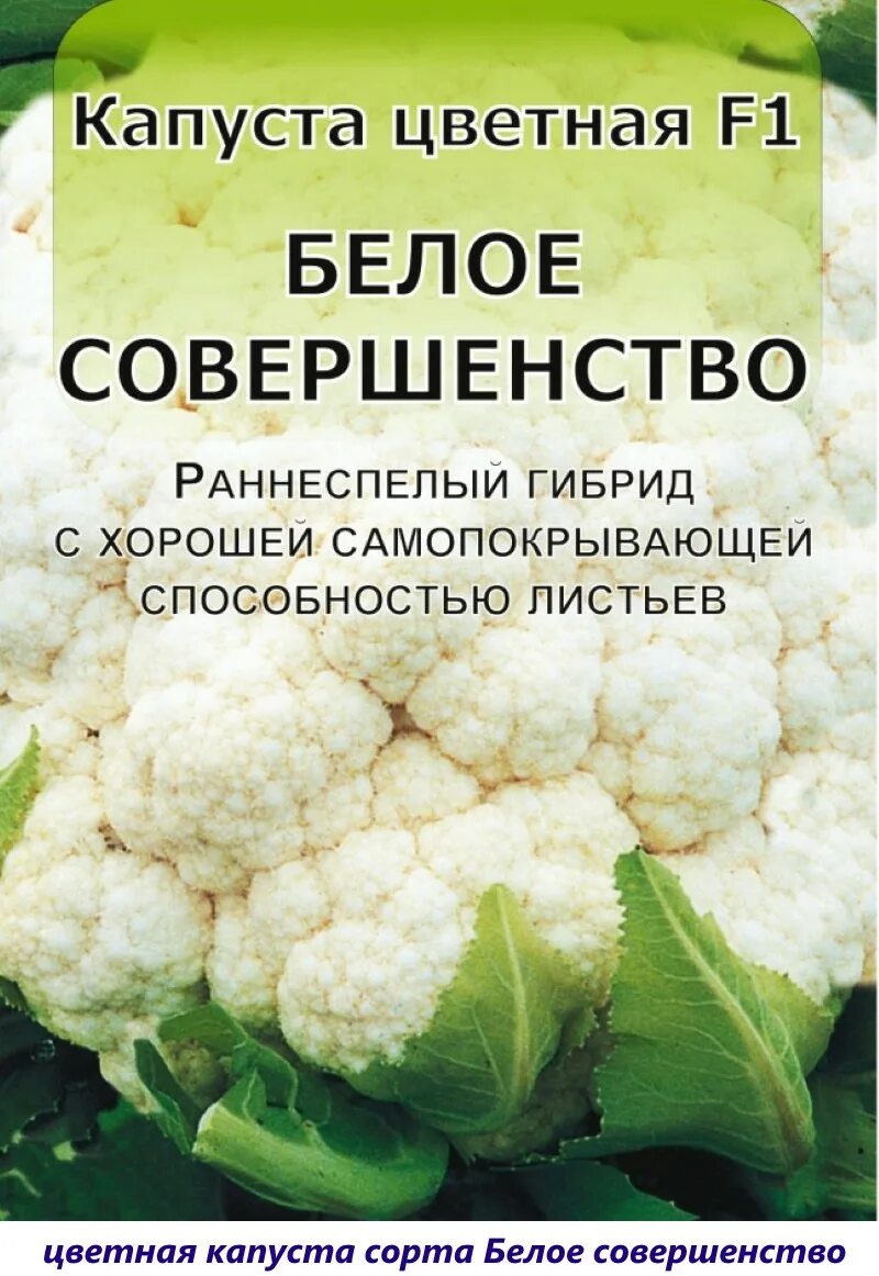 Описание сортов цветной капусты. Капуста цветная Смилла f1 партнер. Капуста цветная белое совершенство f1 русский огород. Цветная капуста партнер семена. Семена цветной капусты фирмы партнер.