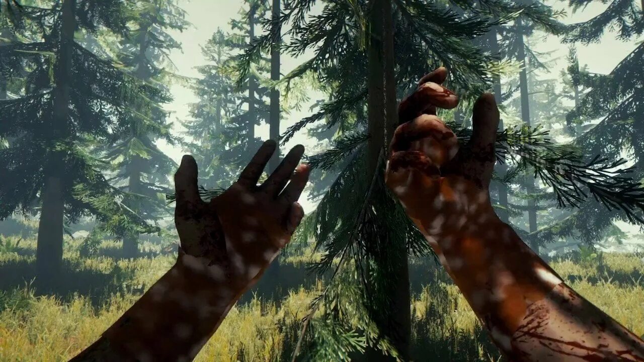 The were going the forest. Форест игра. Зе Форест 2. Зе Форест лес. The Forest выживание.