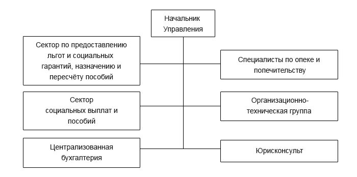 Сайт управление соц. Структура управления социальной защиты. структура усзн. усзн схема. усзн структура усзн.