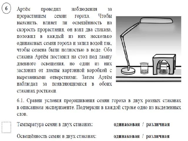 Проведите наблюдения за прорастанием семян. Опыты ВПР 4 класс окружающий мир. ВПР по окружающему миру опыты. Влияет освещенность на прорастание семян.