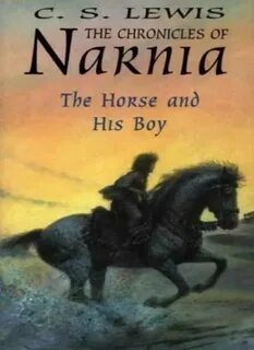 Мальчик и его книга