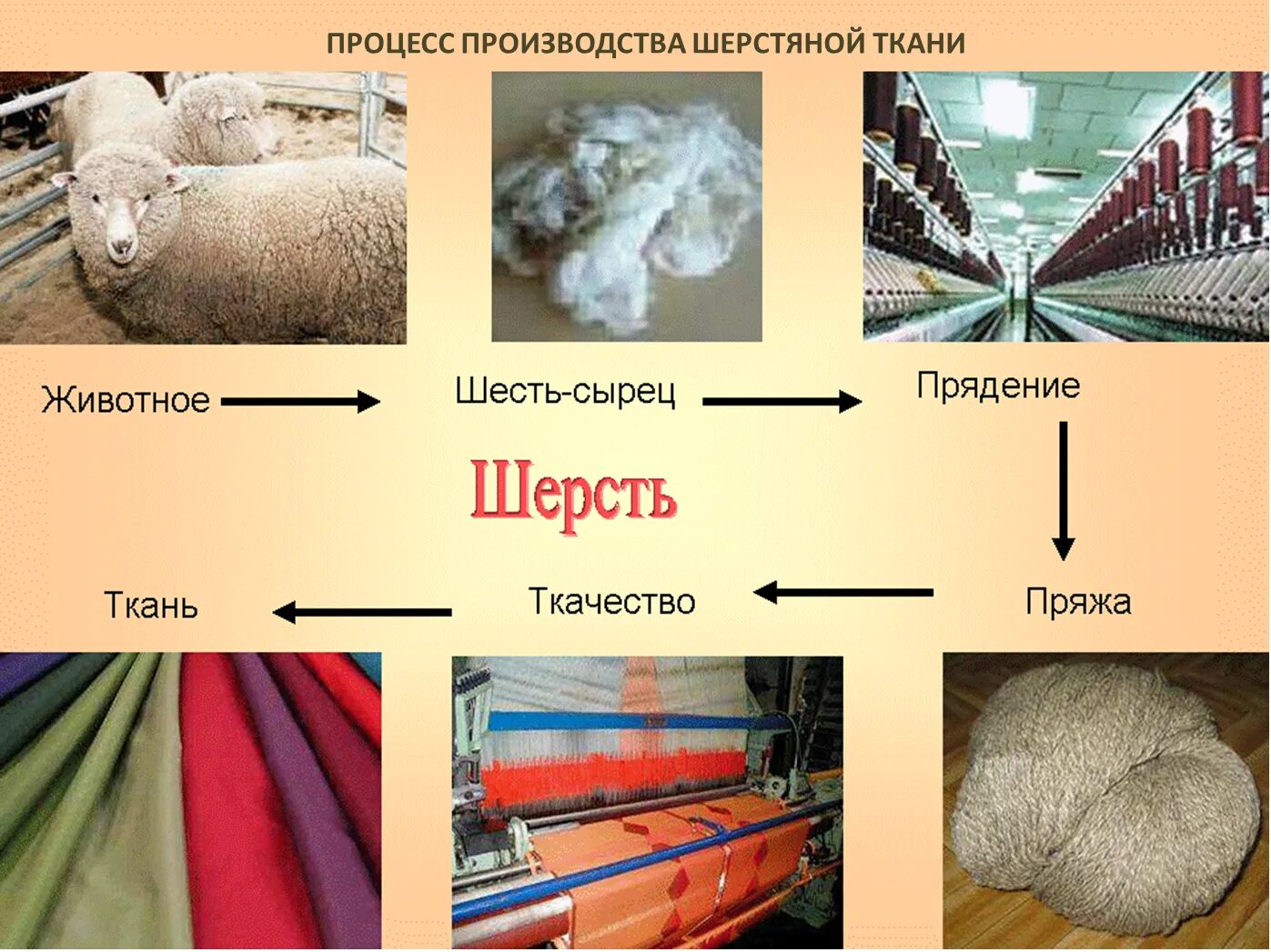 Из каких материалов делают ткани окружающий. Виды тканей. Хлопчатобумажные ткани названия. Лён как делают ткань. Из каких материалов делают ткани окружающий.