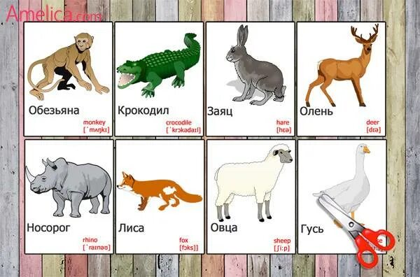 Перевод с английского на русский animals. Животные на английском. Карточки с животными для малышей. Животные на английском для детей. Карточки с английскими словами животные.