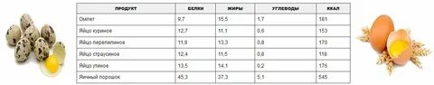 Яйцо калорийность белки жиры