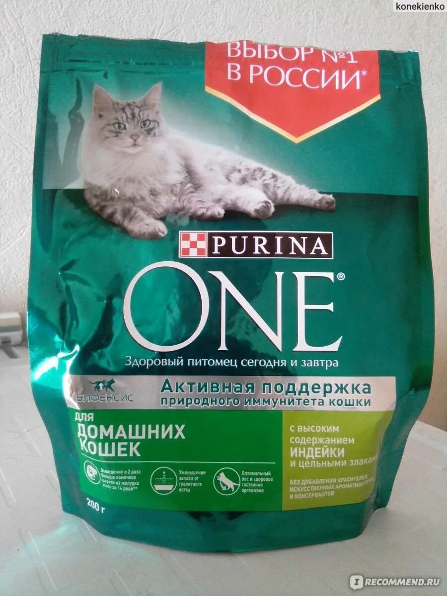 Можно ли котам корм для котят. Корм пурина ван для домашних кошек. корм пурина ван зеленый]. пурина ван сухой корм для кошек зеленый. пурина уан для домашних кошек.