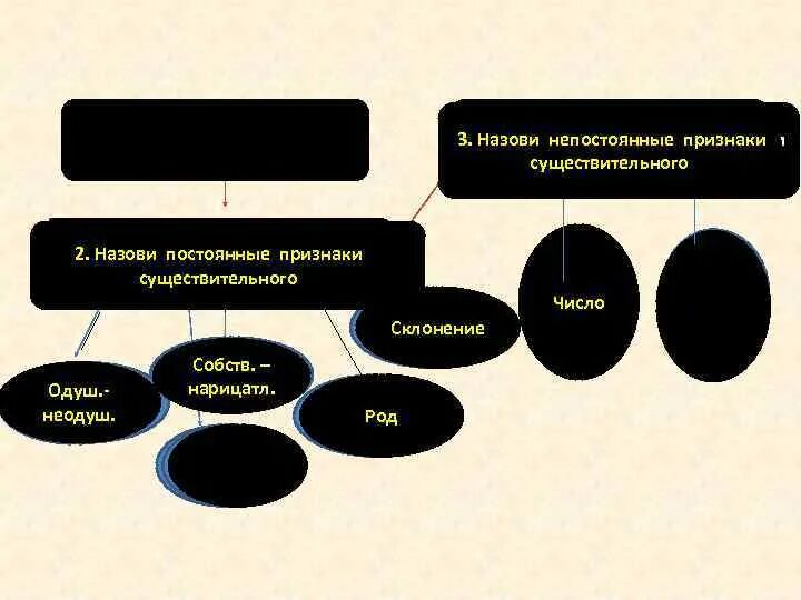 Признаки выделенного существительного. Постоянные и непостоянные признаки существительного. Все признаки существительного на ковре. Постоянные признаки существительного. Я вижу чайку выбрать постоянные признаки