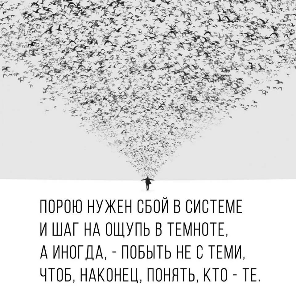 1984 джордж оруэлл цитаты. Те кто читает книги всегда будут управлять. Те кто читает книги всегда будут. Высказывания лао цзы. Цитаты вами управляет тот кто вас злит.