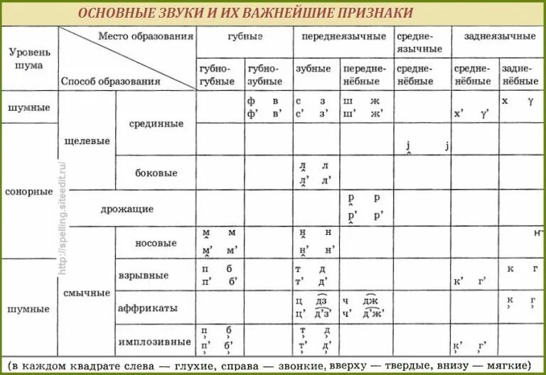 Переднеязычный и заднеязычный звук в китайском. Заднеязычные звуки гласные. Заднеязычные переднеязычные звуки. Классификация гласных звуков в логопедии. Звуки по месту образования таблица.