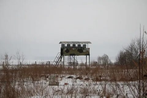 Погода мещерино 1