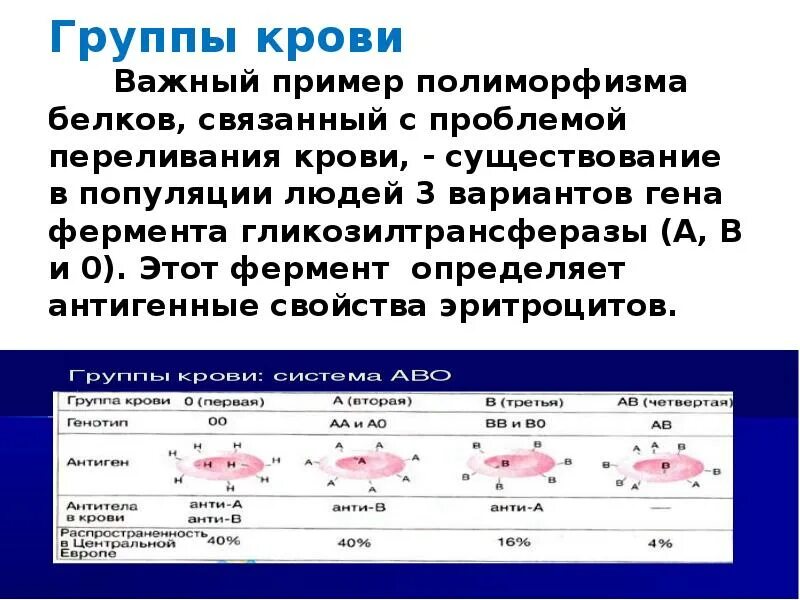 Примеры полиморфных белков. Полиморфизм белков. Генетический полиморфизм примеры. Полиморфизм биохимия.