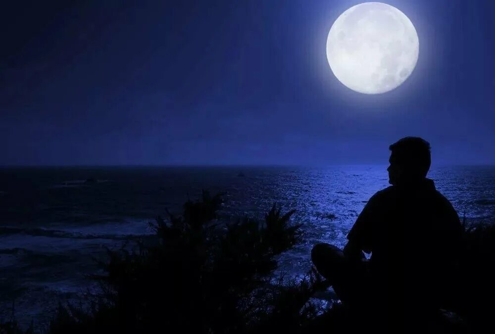 Луна. Одиночество в ночи. Лунная ночь. Луна одиночество.