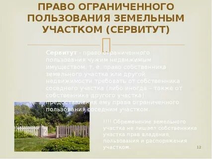 Право ограниченного пользования чужими лесными участками