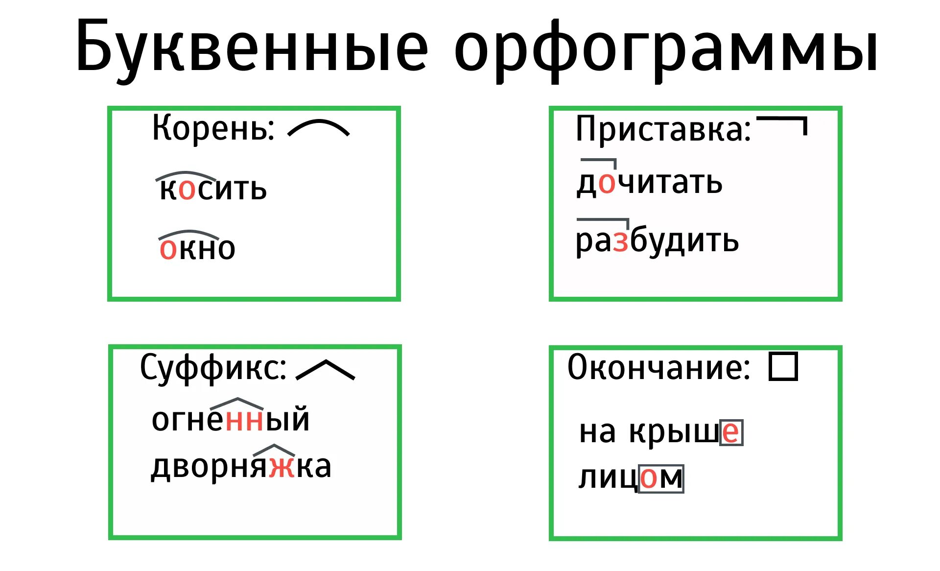 Орфограмма суффикс приставка корень окончание