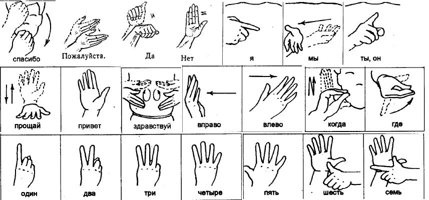 Разговор руками на русском. Язык немых жесты учить слова. Язык жестов дактиль слова. Основы языка жестов глухонемых. Слова немых жестов руками.