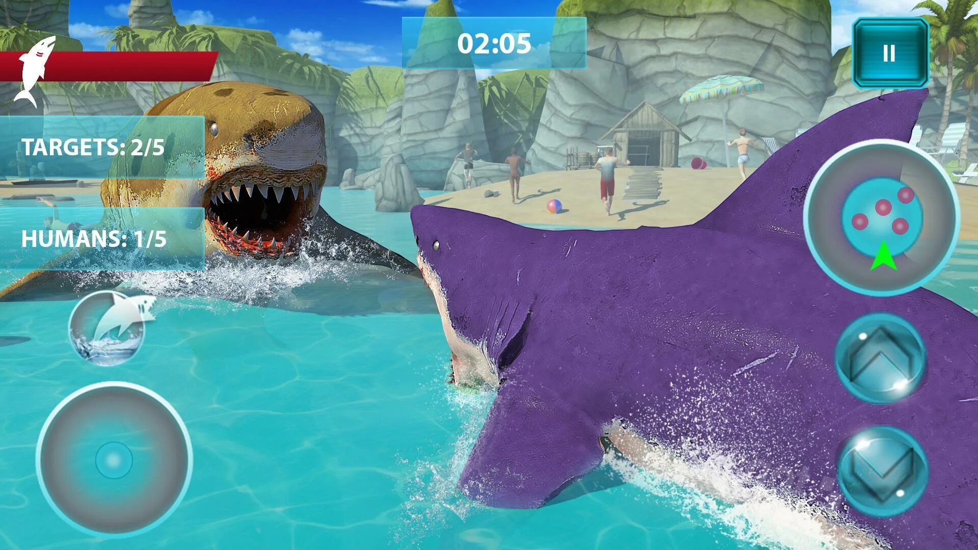 Shark Attack игра. Игра симулятор акулы. Игры про клетки с акулами. Белая акула акула атака симулятор. Shark взлоmанную версию