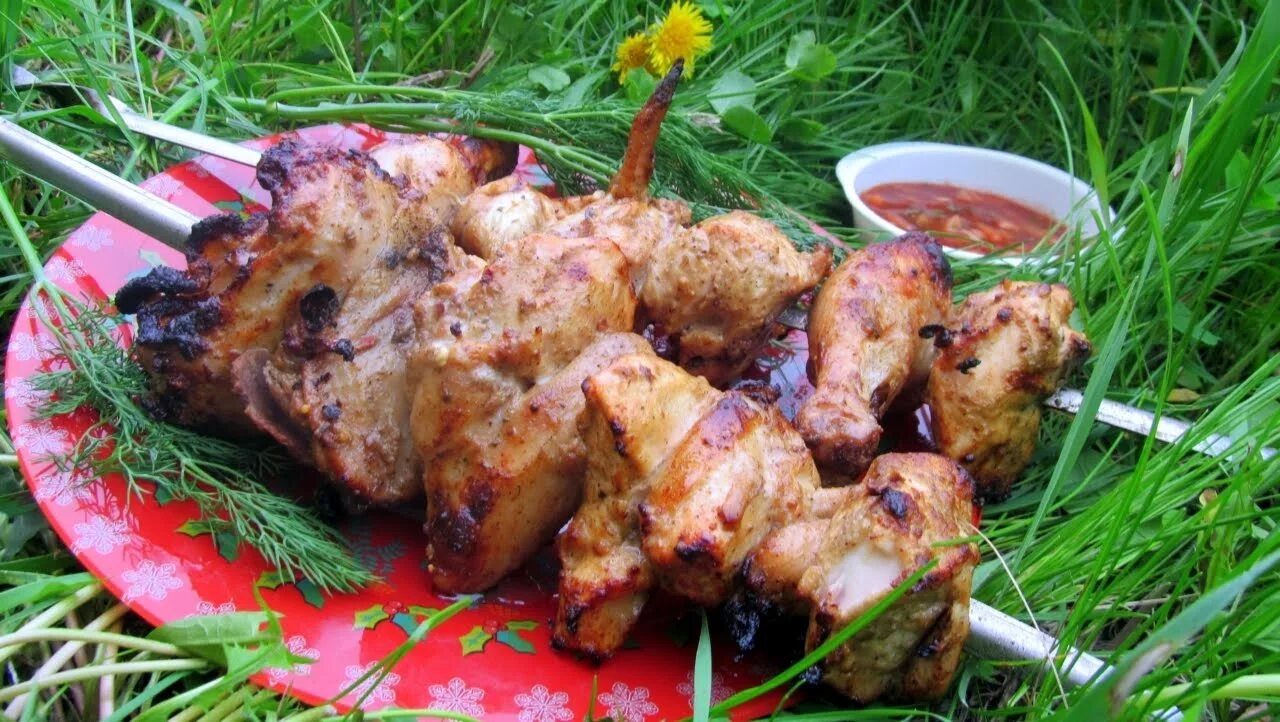 Зачем добавлять яйцо в шашлык. Шашлык из курицы. шашлыки на природе курица. шашлык из куры. шашлык курица на мангале.