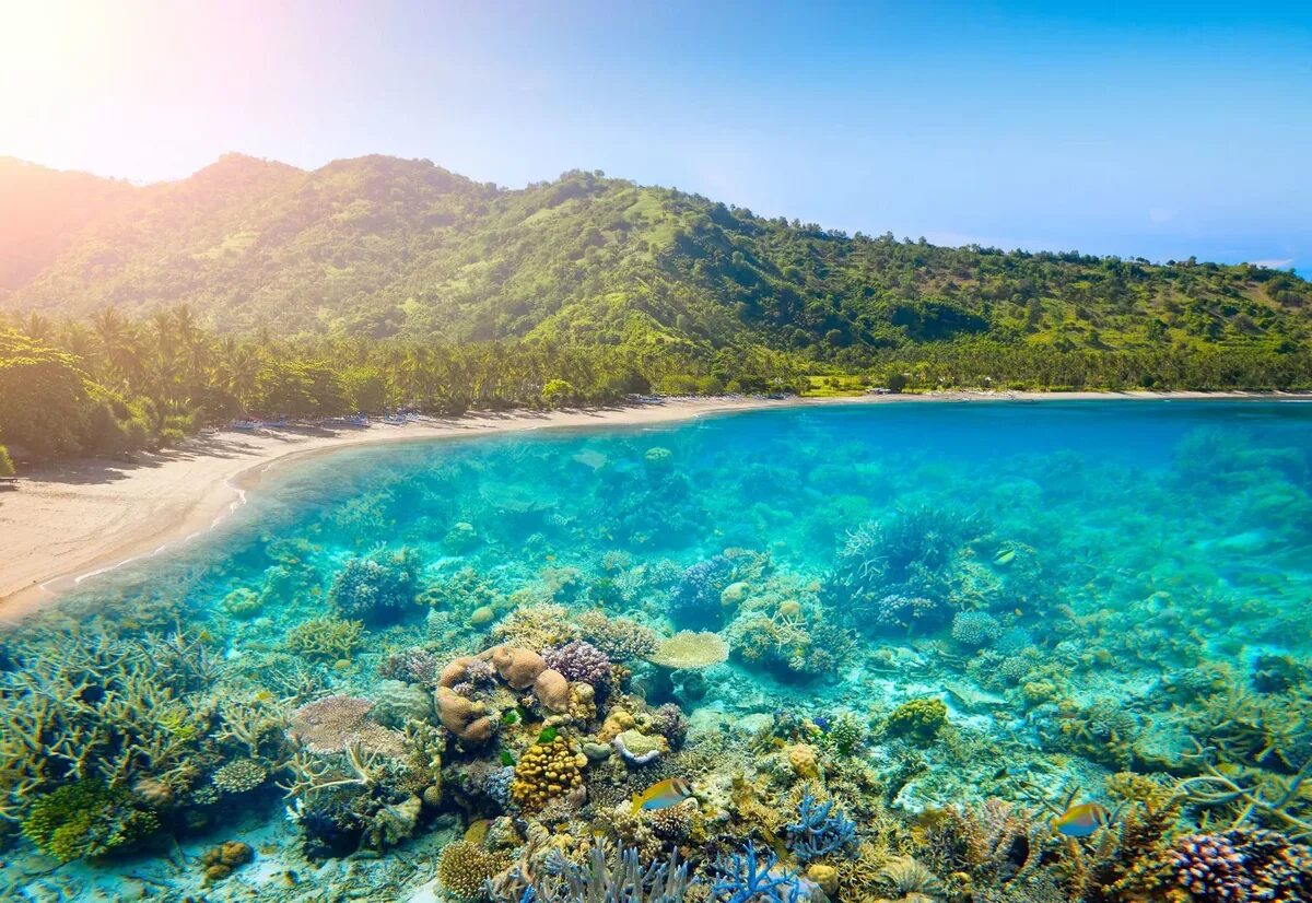 Остров ломбок. Остров Ломбок Индонезия. Бали и Ломбок. Ломбок пляжи. Ломбок Индонезия фото.