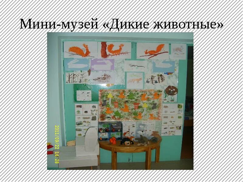 Мини музей в детском саду домашние животные. Мини-музей в детском саду в средней группе. Макет природы для детского сада. Мини-музей в детском саду животные. Музей мини животных.
