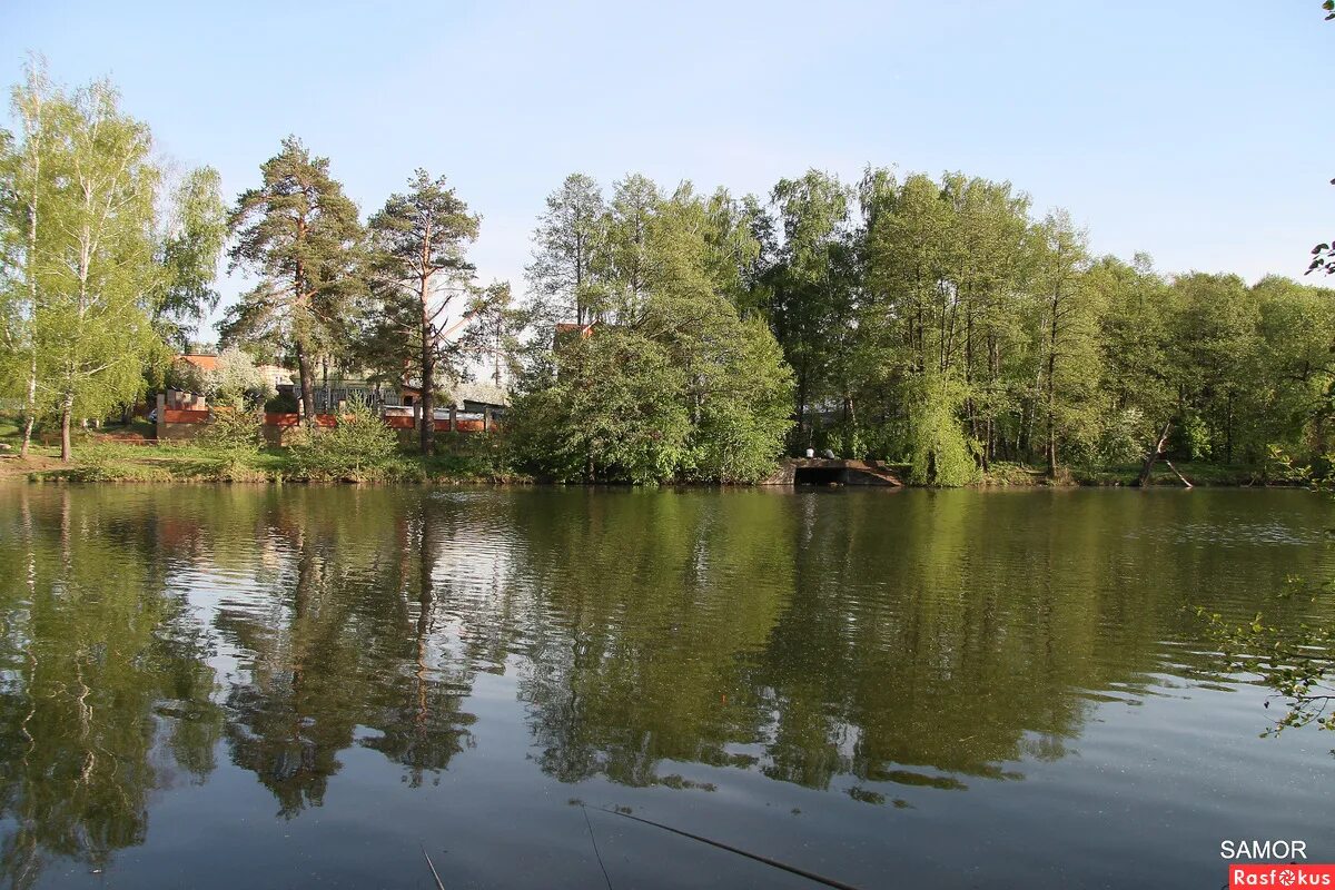 желтый пруд балашиха. желтые пруды. желтые пруды. серебряный пруд балашиха. осень озеро.