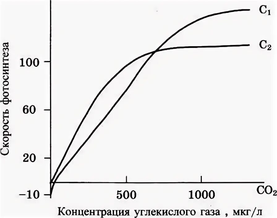 Почему при определенной концентрации углекислого. Зависимость фотосинтеза от содержания углекислого газа. график зависимости фотосинтеза от концентрации углекислого газа. зависимость скорости фотосинтеза от концентрации углекислого газа. зависимость фотосинтеза от концентрации углекислого газа.