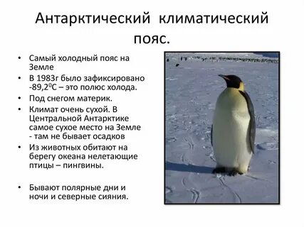 Арктический и антарктический пояс воздушные массы