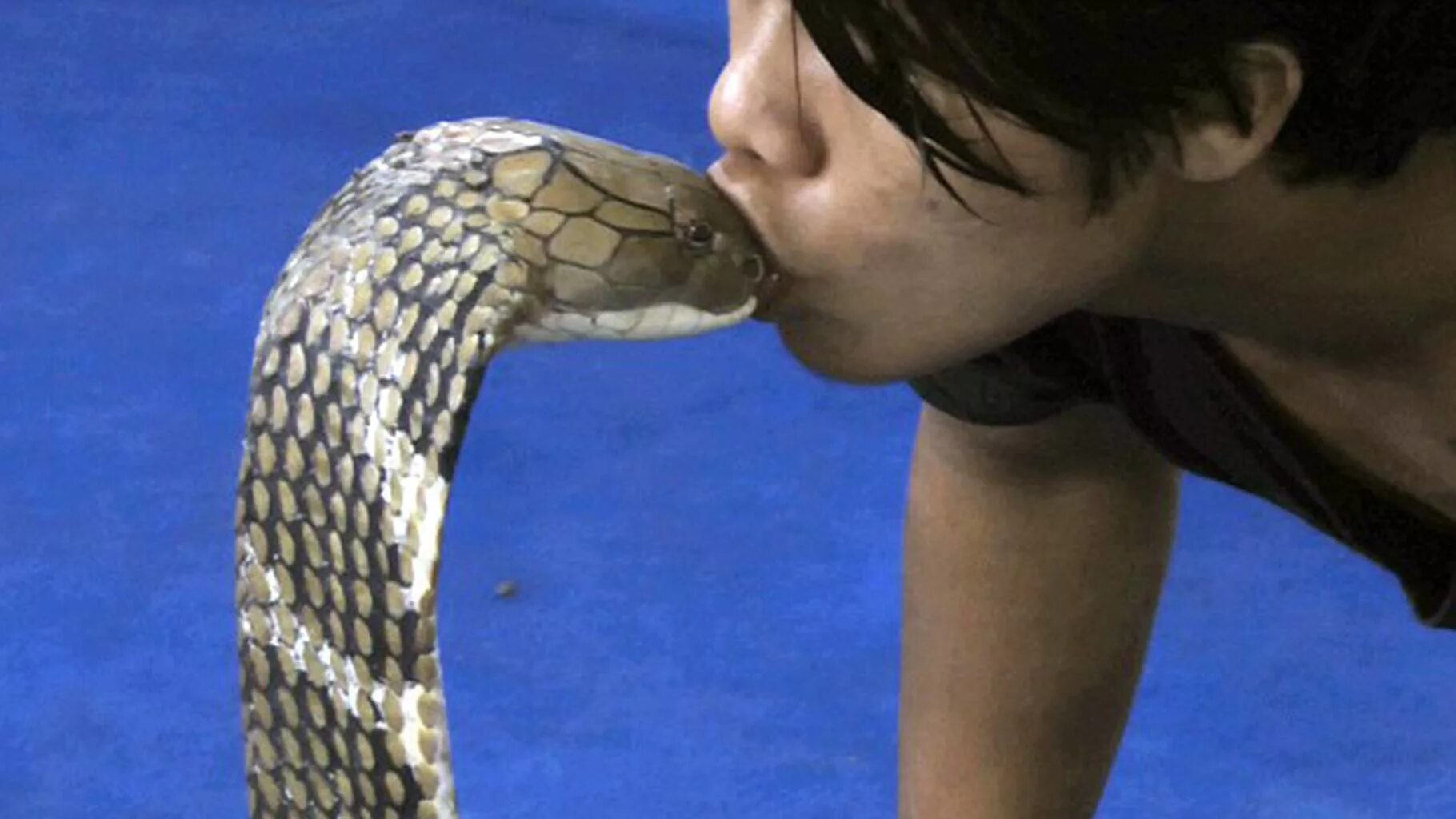 You ever seen a snake