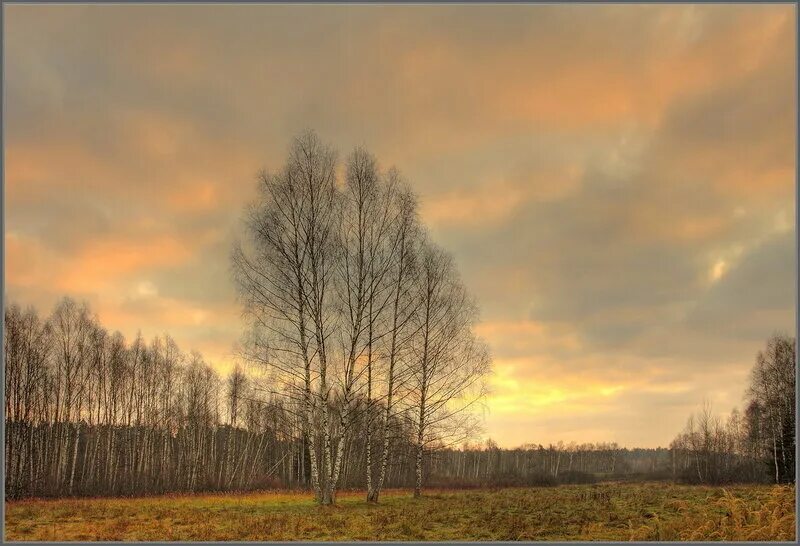 пасмурное лето. пасмурный день. пасмурная осень. хмурый осенний день. пасмурная река.