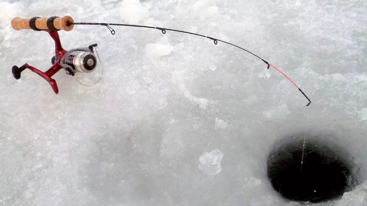 Лов зимой. Удилище Team Salmo Ice Feeder 64см. Зимний подледный фидер Щербакова. Удилище зимнее Team Salmo Ice Feeder 64см / зимний фидер. Удочка зимний фидер CEIMAR 50.