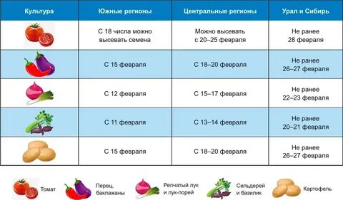 Рассада помидор календарь 2023